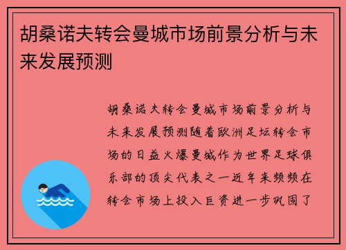 胡桑诺夫转会曼城市场前景分析与未来发展预测 胡桑诺夫转会曼城市场前景分析与未来发展预测
